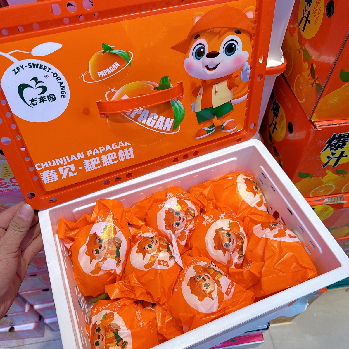 顶级好货～春见耙耙柑/箱  毛重6斤 风味十足