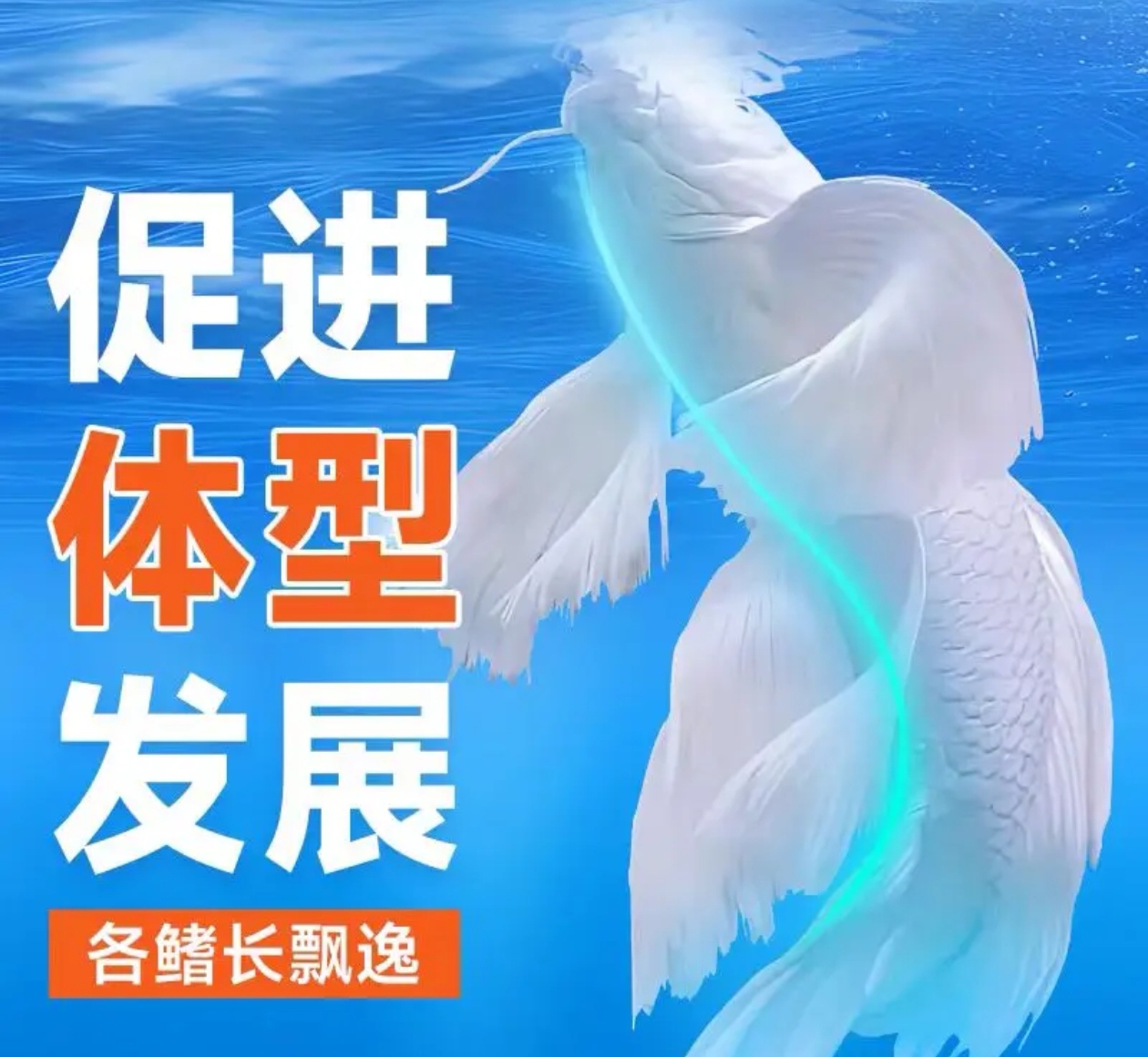 台湾蝴蝶鲤专用鱼饲料高蛋白鱼粮喂食精选优质健康上浮鱼粮