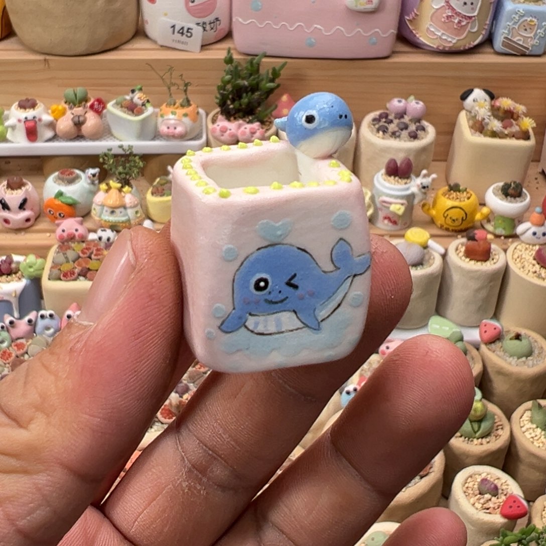 羽****多肉植物实付9.9元包邮165号