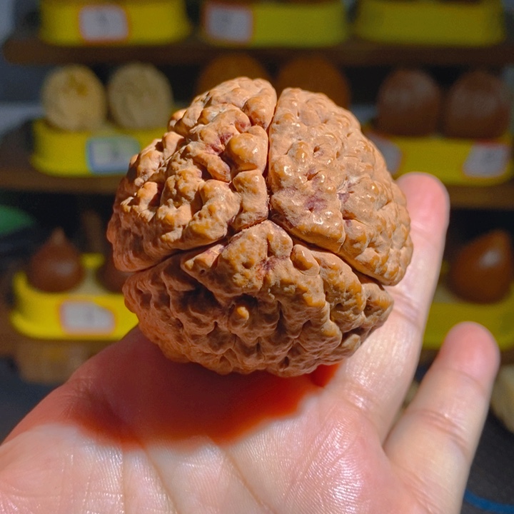 野生三瓣脑纹大金刚5155