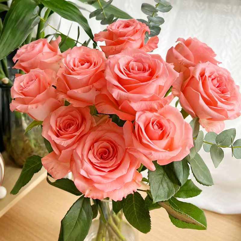 【 苏小白 】【 戴安娜单头玫瑰20只】全场任意满两单及以上顺丰包邮