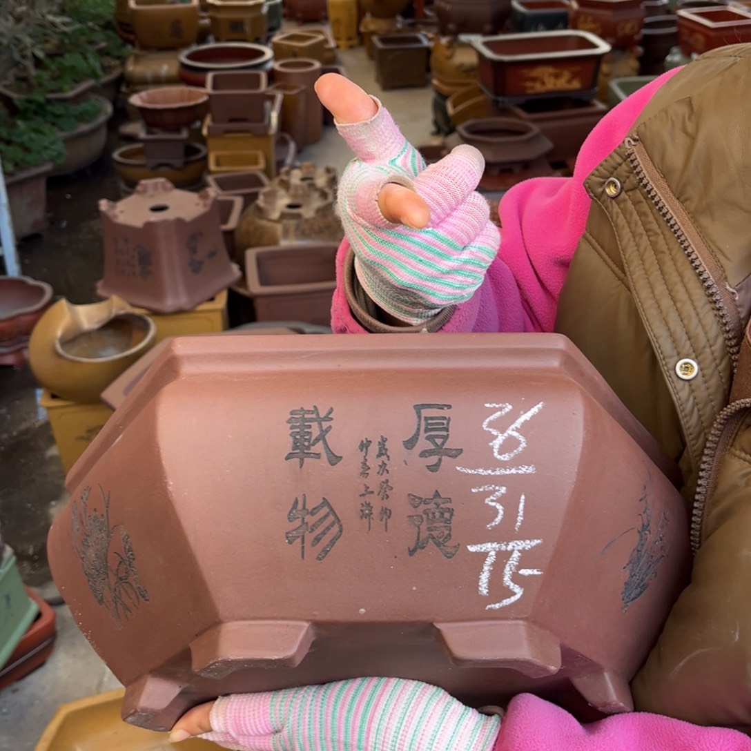 紫砂花盆盆景艺术