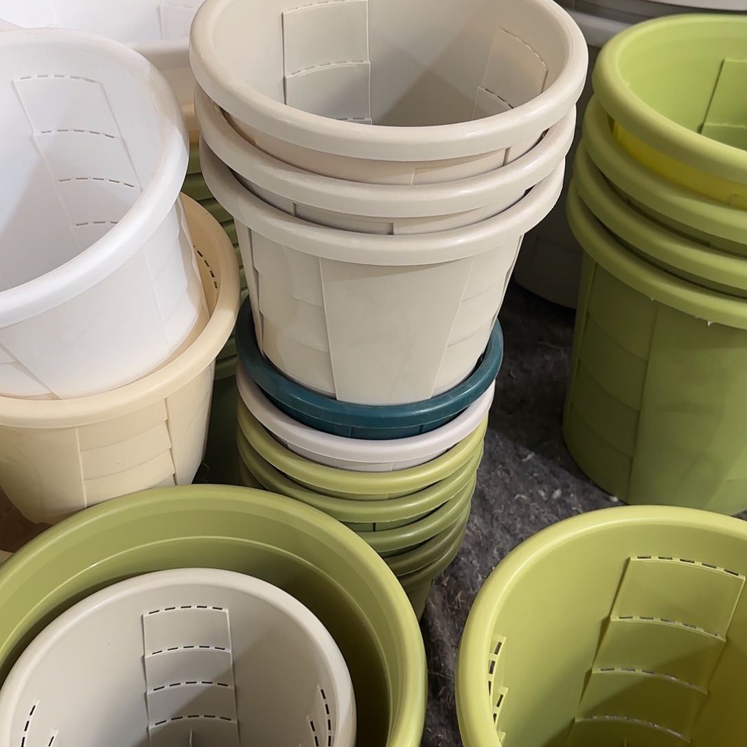 微瑕，测3号6个无托，灰白