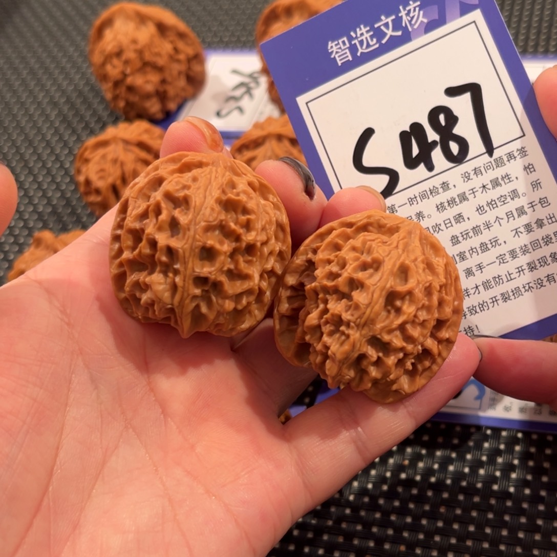 核桃S487号苹果园37尺