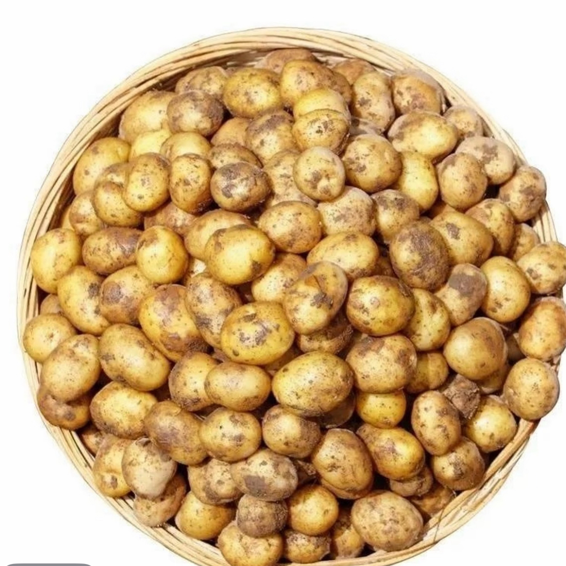 【小叶农场】黄心土豆 精品中果 5斤装 京东包邮