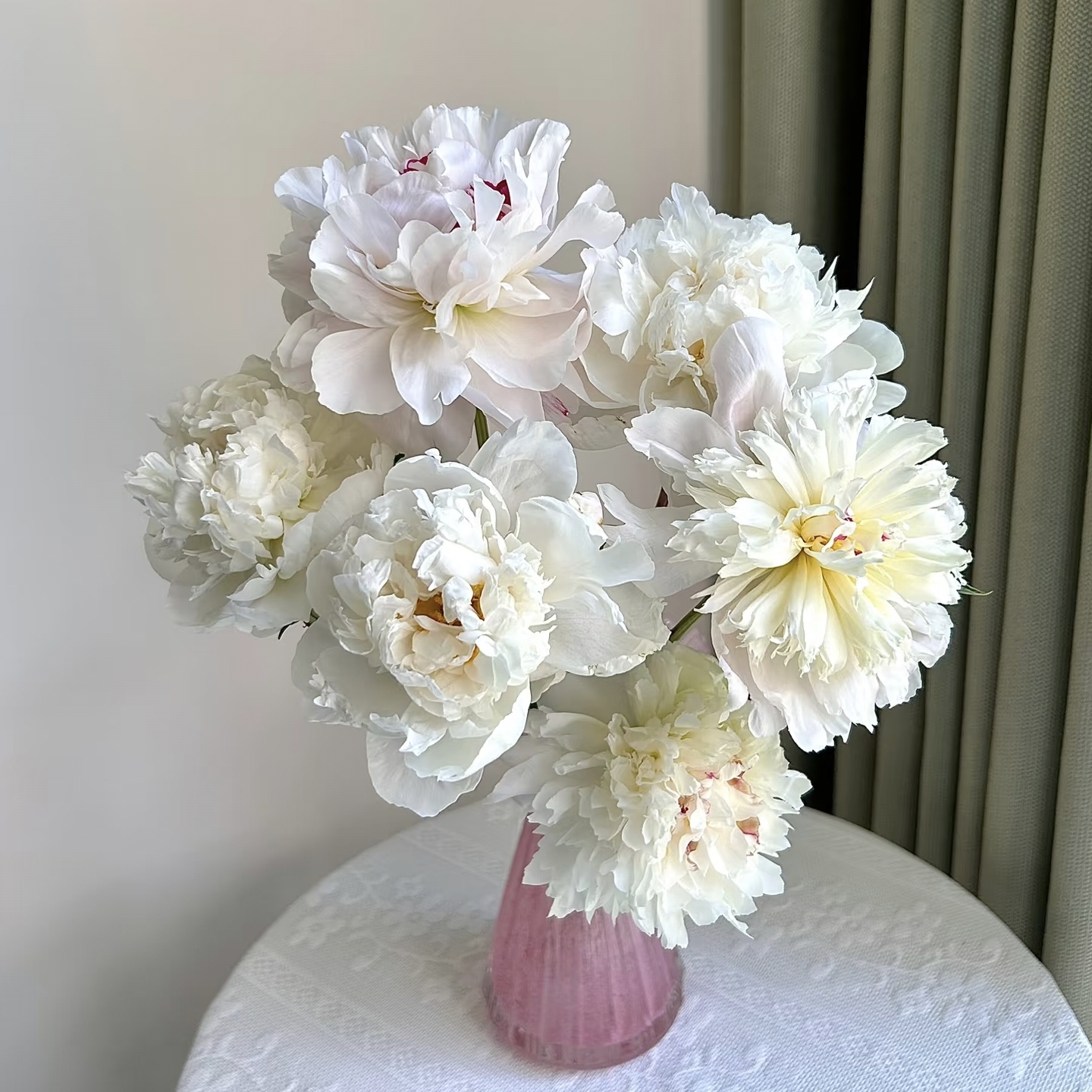 【冰清芍药】【叁叁】 收到需醒花 云南鲜花基地批发直发