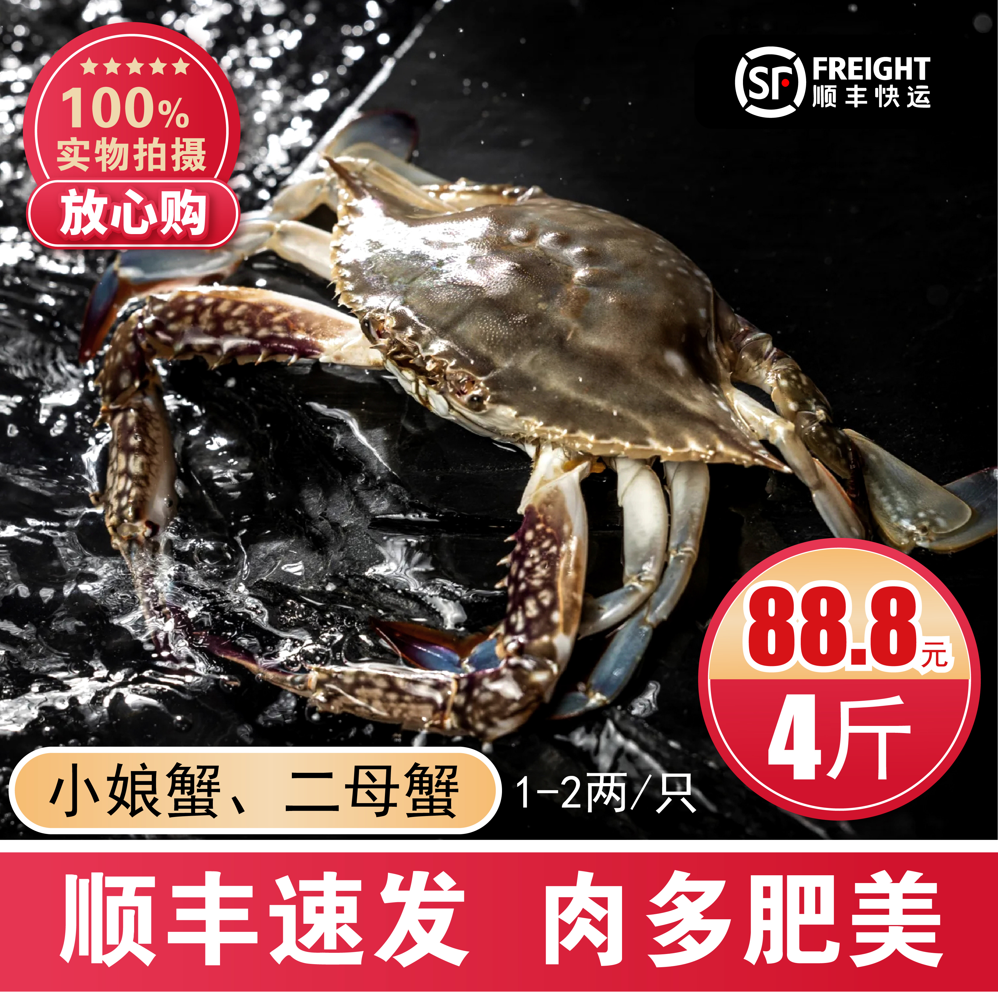 【4斤小蟹】连云港鲜活速冻二母蟹小娘蟹梭子蟹【冻蟹】单只1-2两顺丰