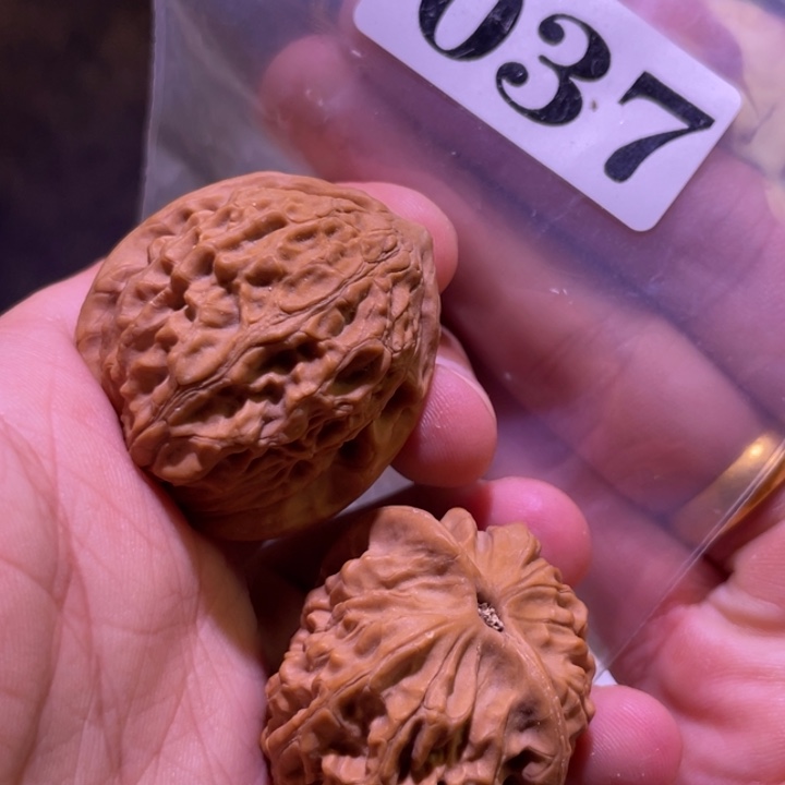 文玩核桃吊坠037金牛36尺