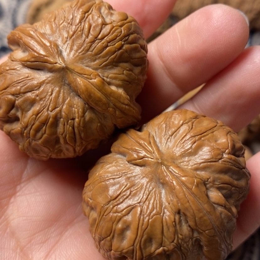 【闪购商品】文玩核桃吊坠箐*元宝