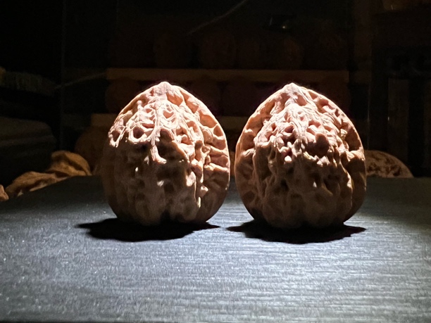 蓟县山一代佛肚38/38   40.2g