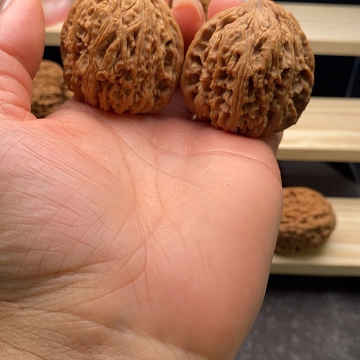 木质189号蚂蚁凹底三角