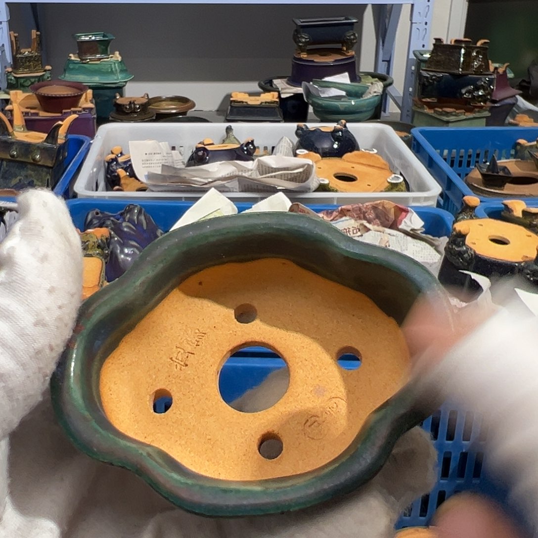 碗青**圆觉象原创作品欣赏分享