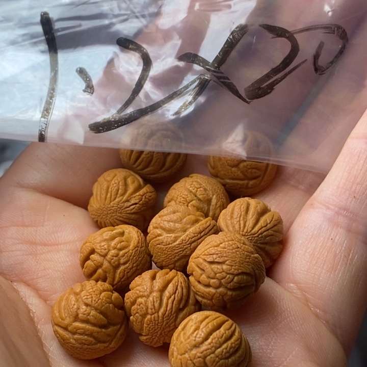 文玩核桃手串秦岭野生龙纹桃核12