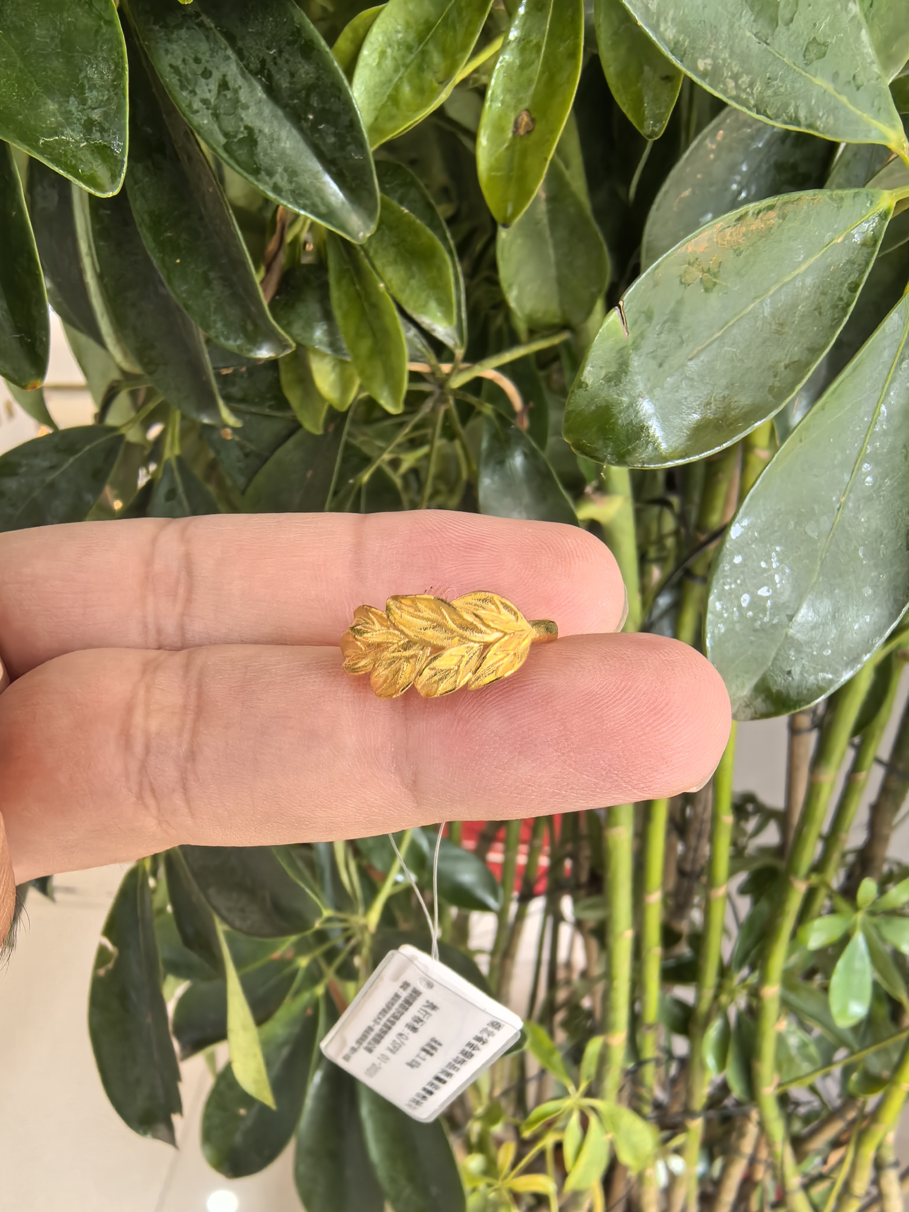 赛菲尔5G麦穗戒指