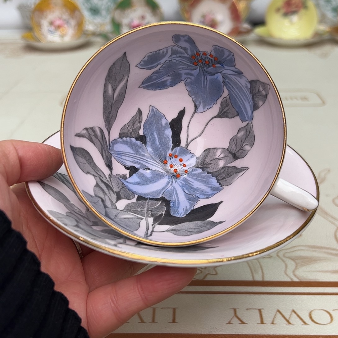 盘维多利亚欧洲中古