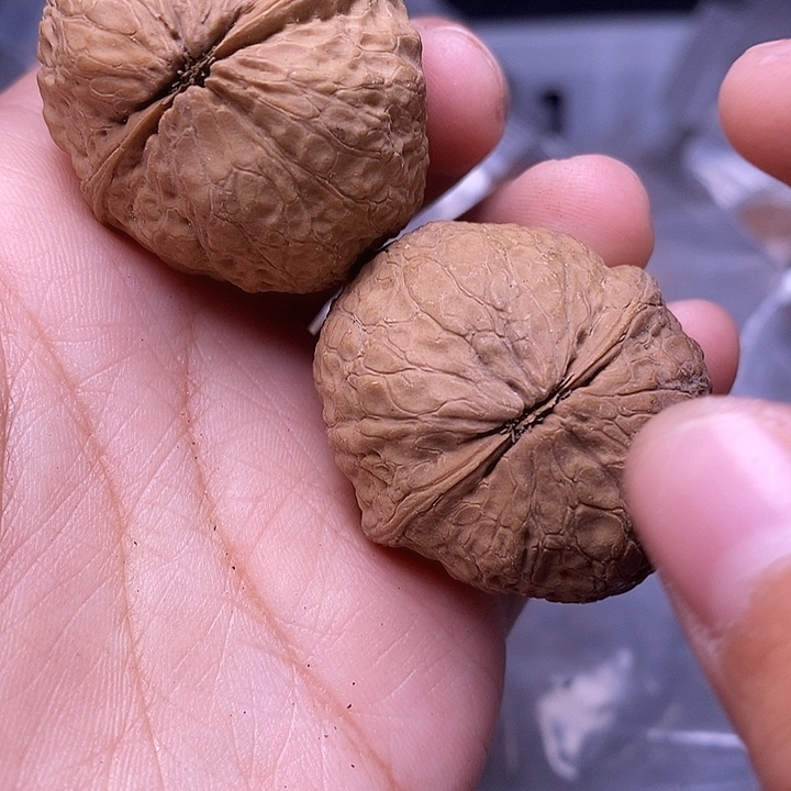 吊坠文玩核桃   140