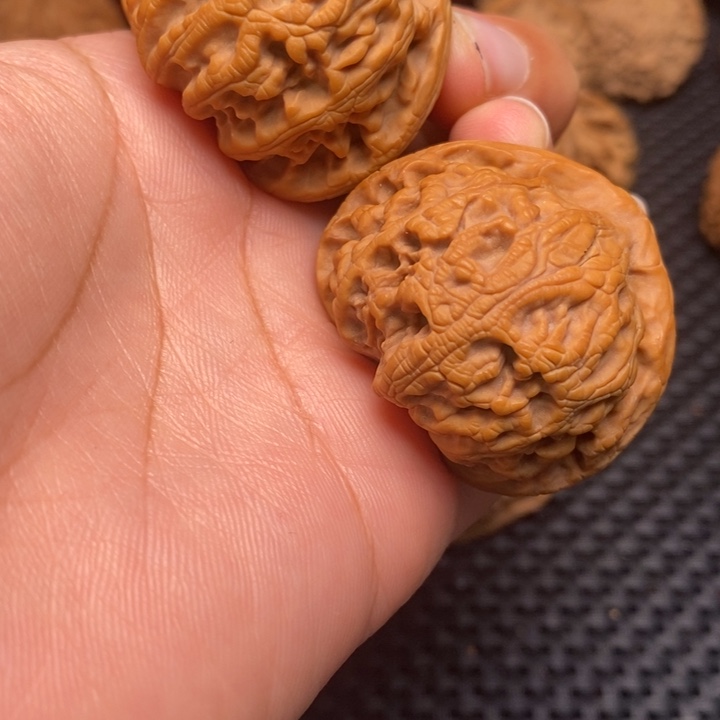 秦岭野生1111111111