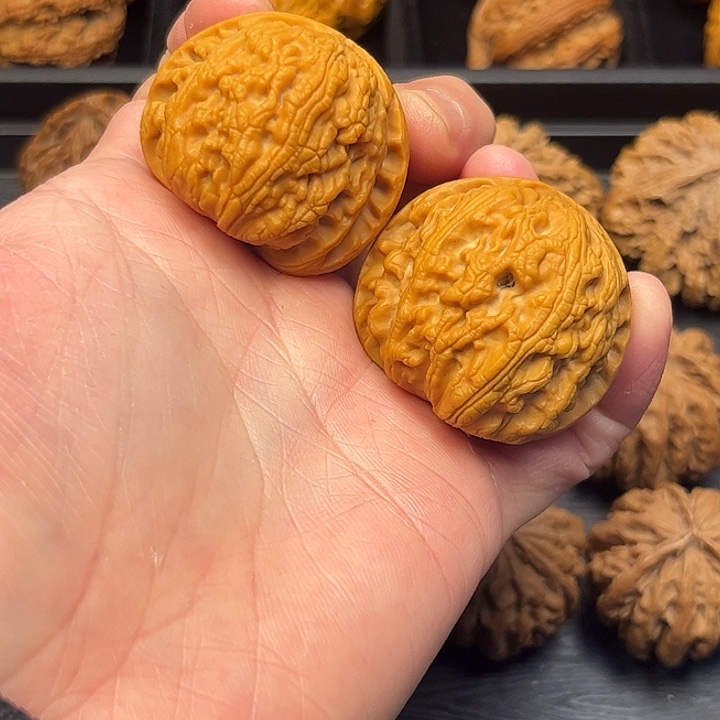 桃木我是一只小小鸟地域文化