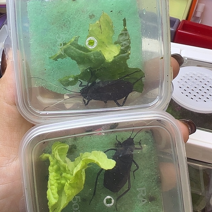 哈哈哈哈哈哈哈哈哈