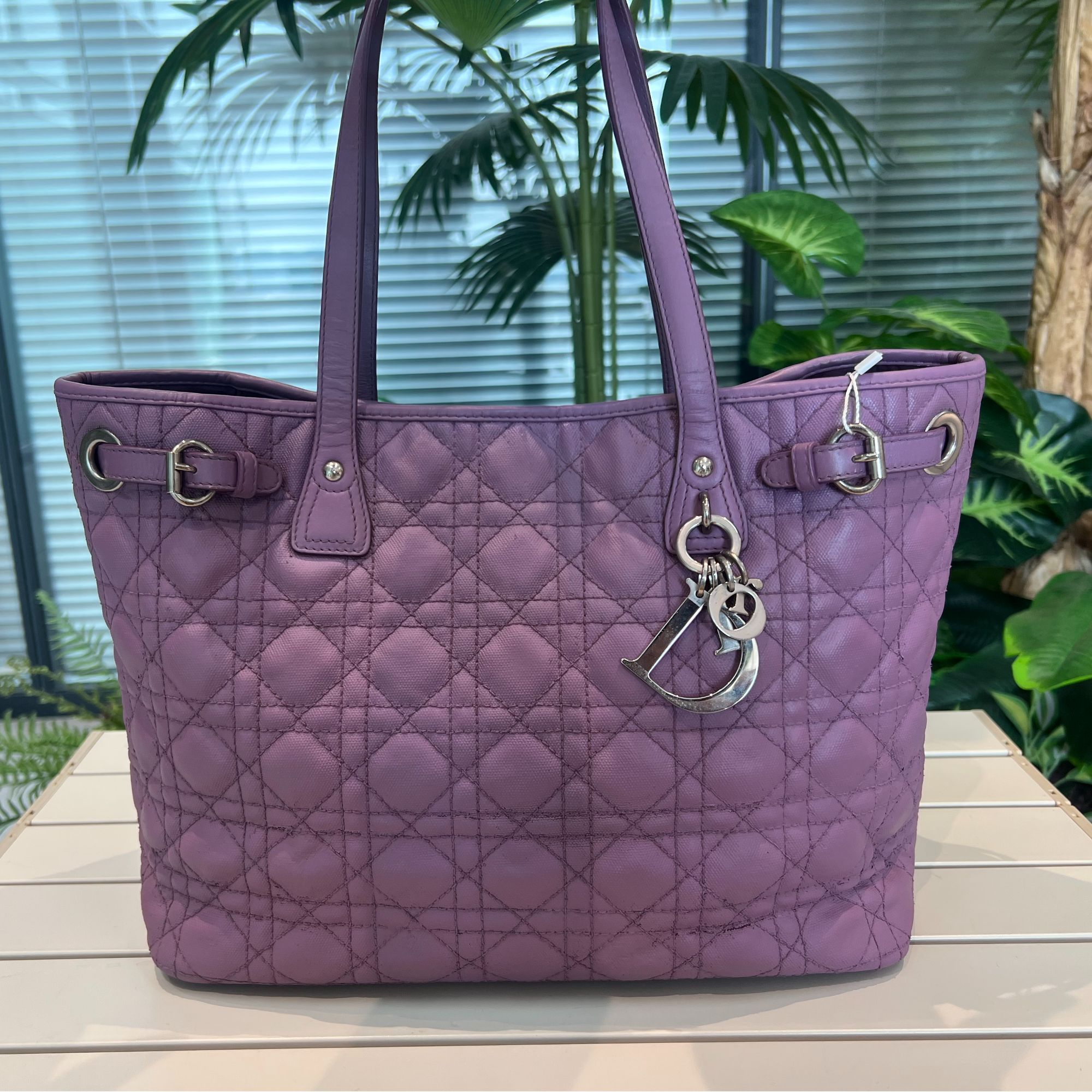 95新 DIOR/迪奥  Dior 斜挎包单肩包/NM