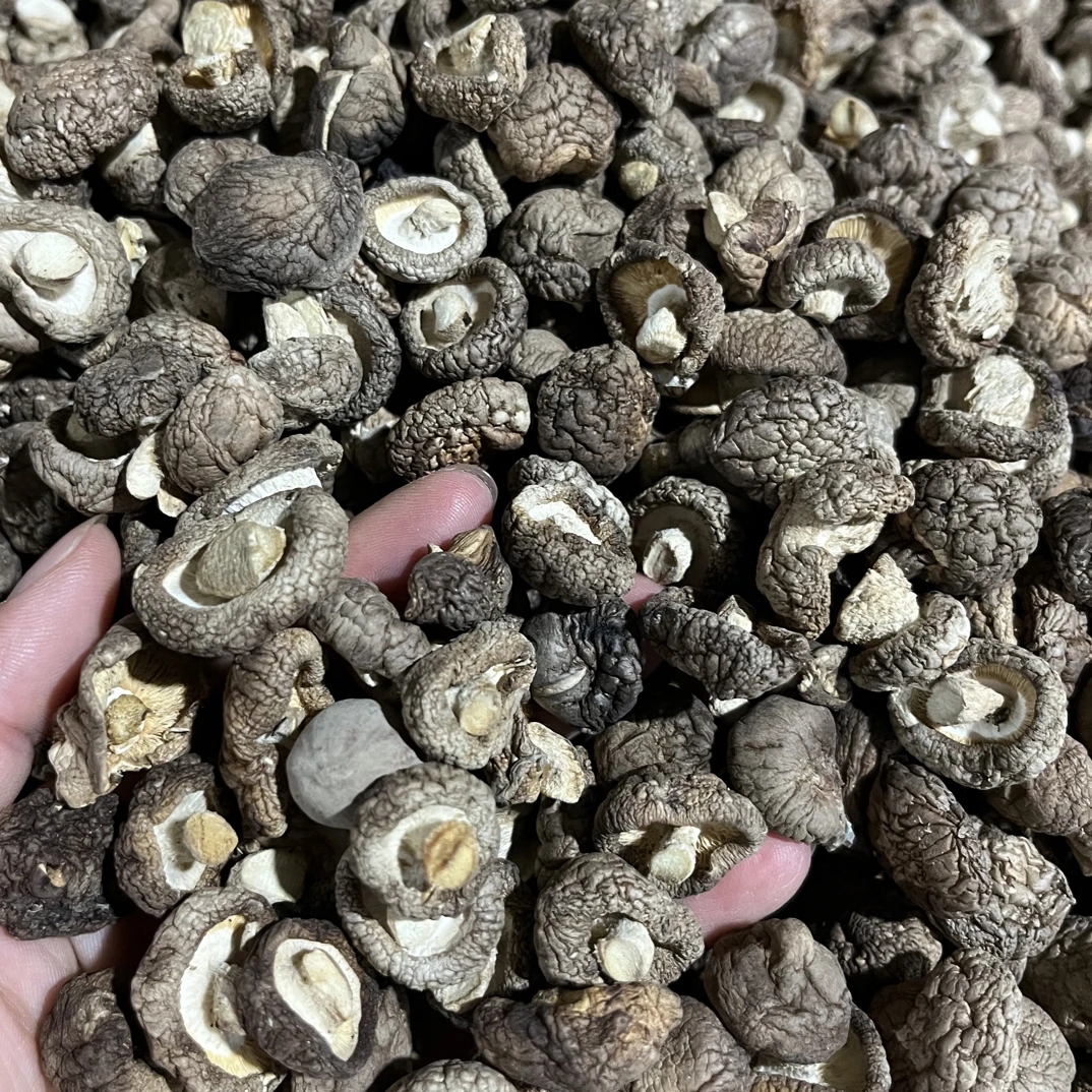 云南特产山货~小香菇~卤蛋甄选