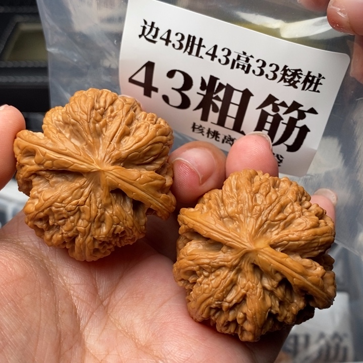 文玩核桃把件43粗筋