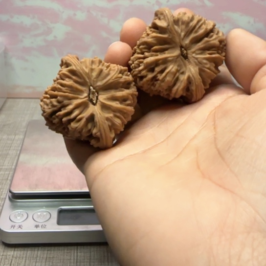 桃核吊坠提**乐核桃