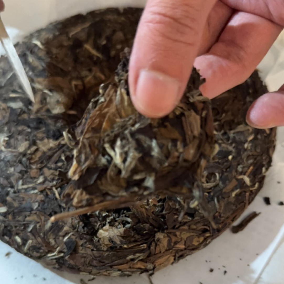 【2014厂长福利】2014年贡眉