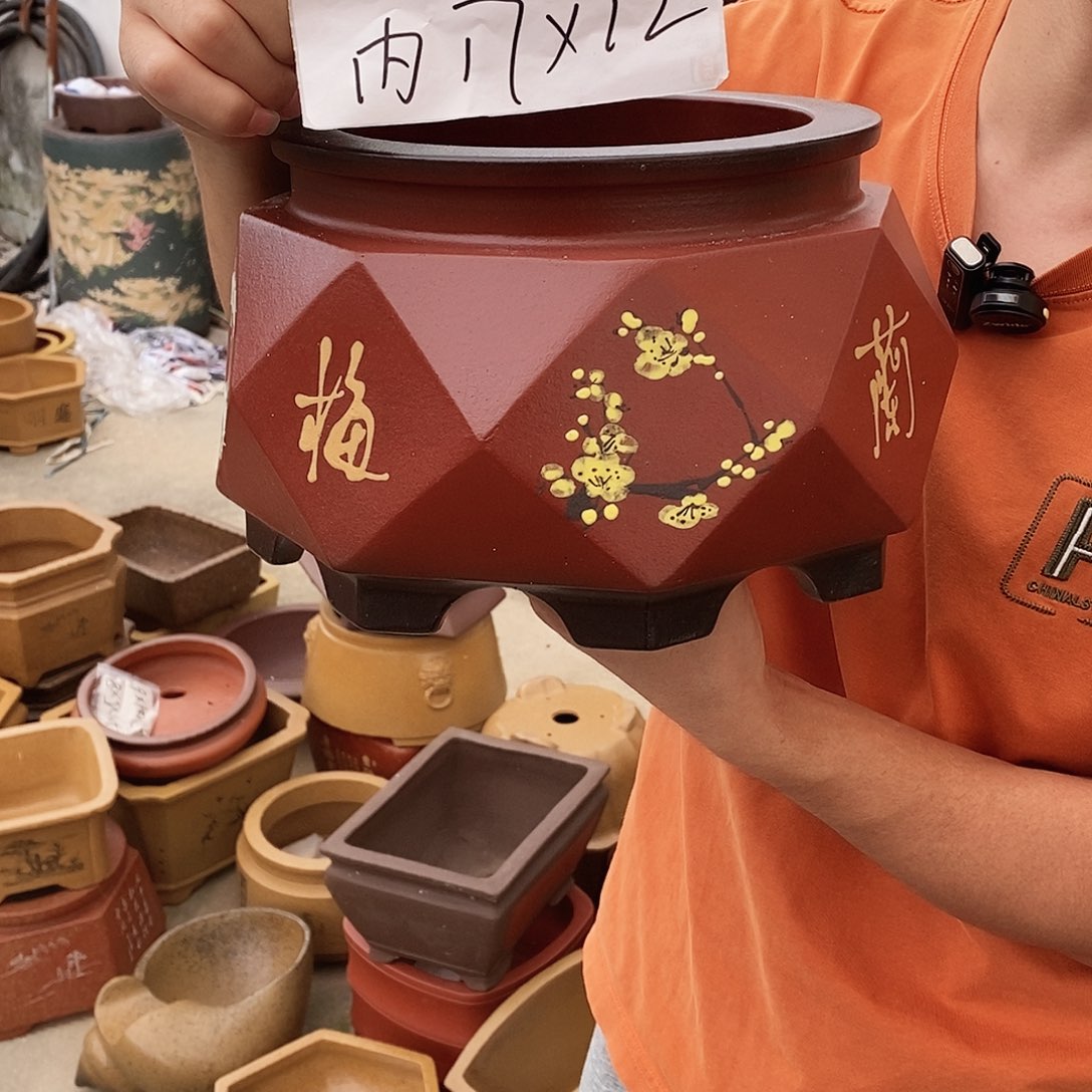 紫砂花盆紫砂花盆