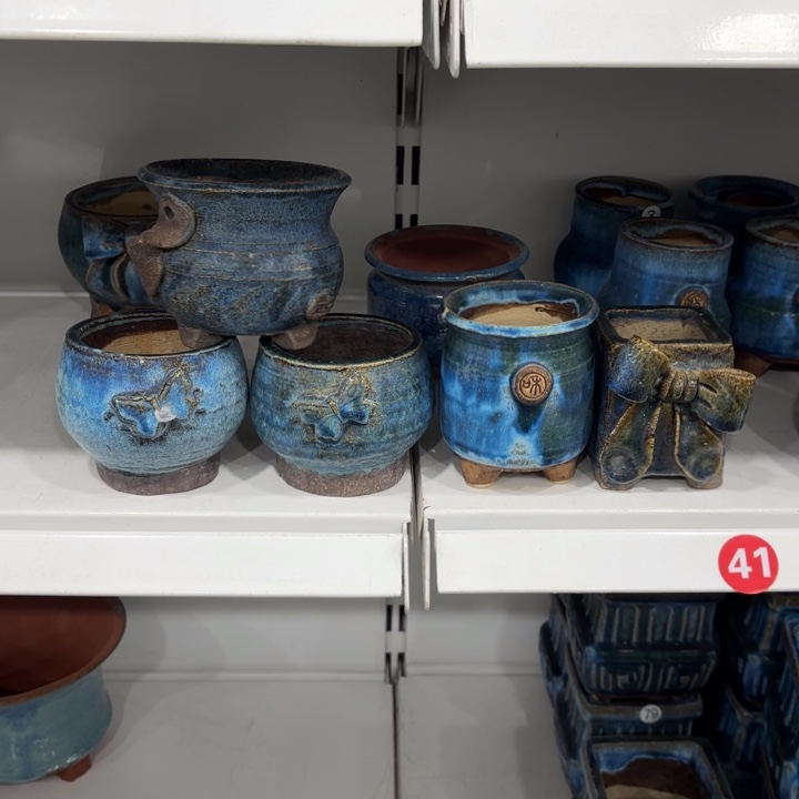 斑****特价处理花盆一共5个