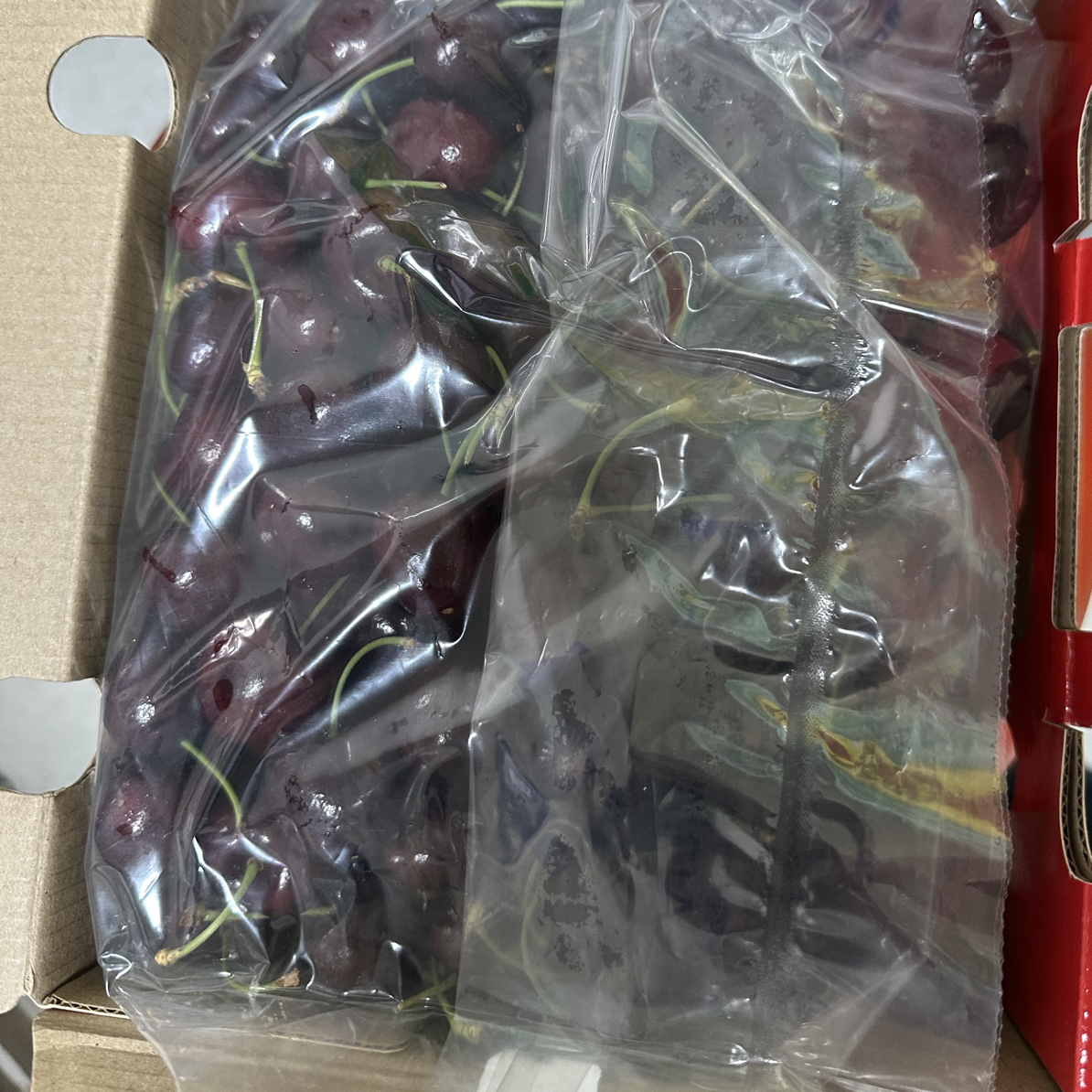 都乐车厘子3J一斤装空运Bing宾