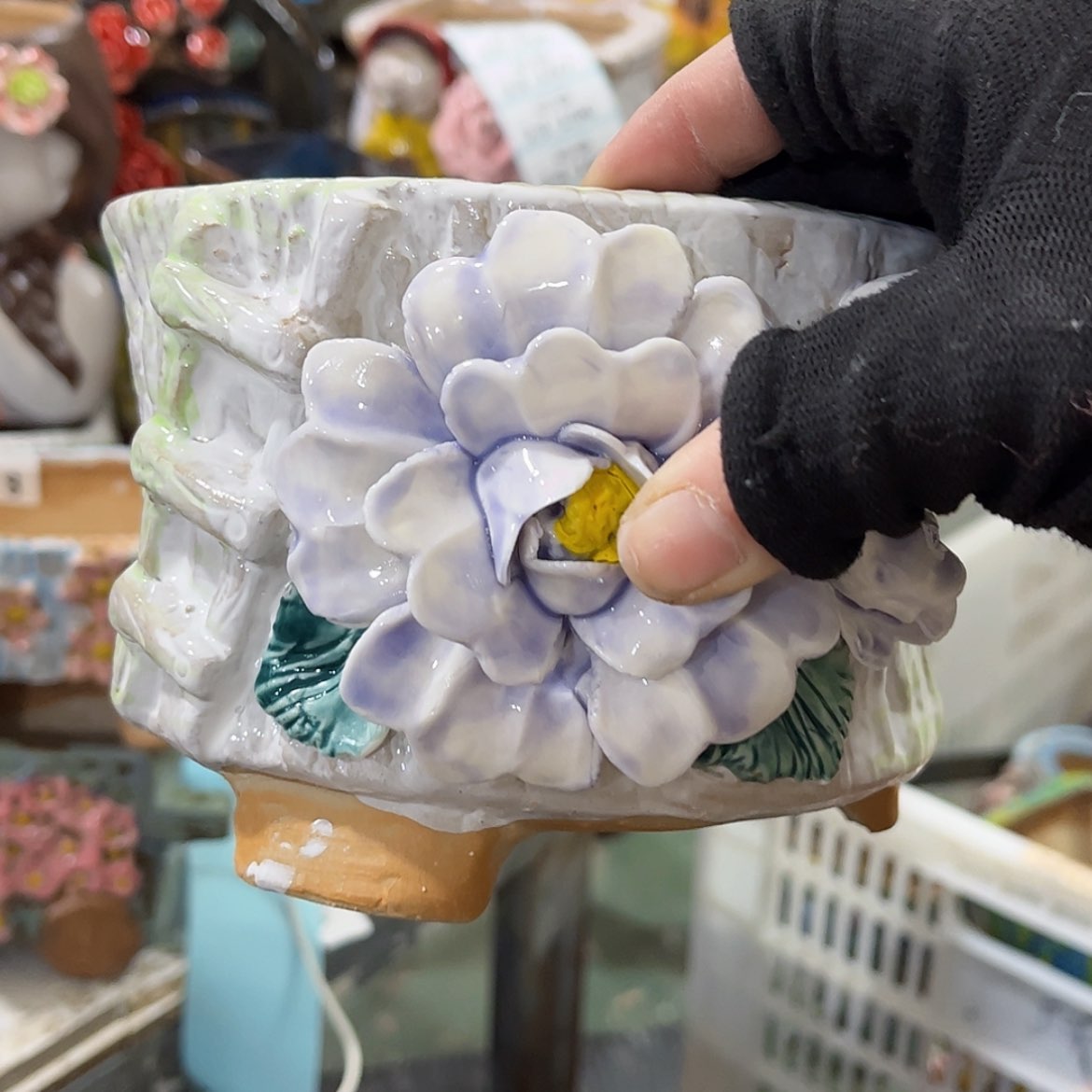 【闪购商品】红陶我