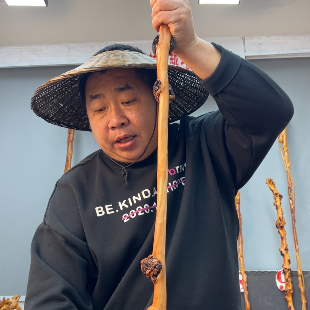 黑果木其他黑果木566