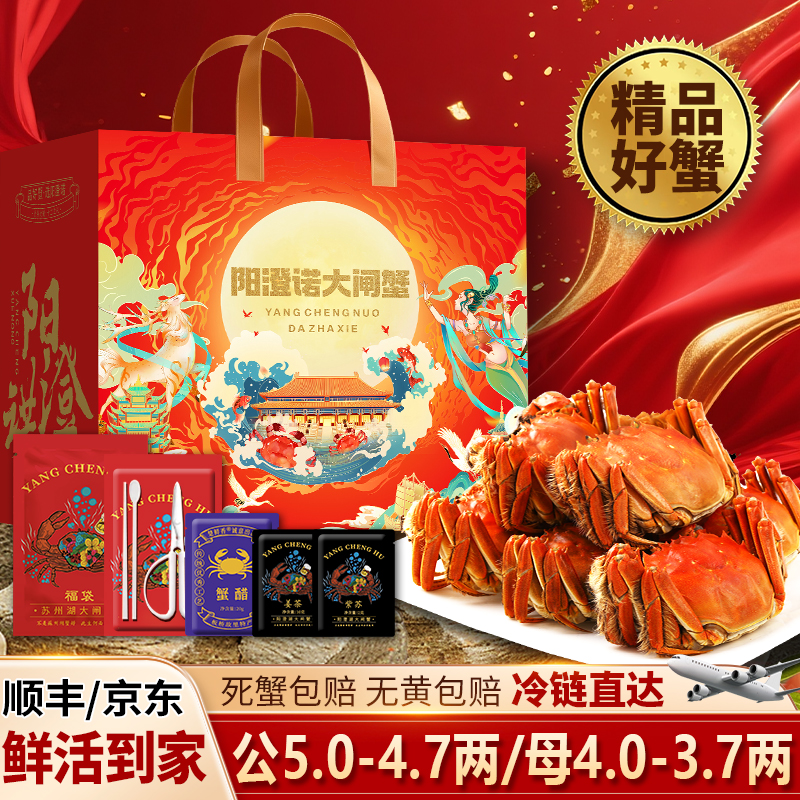 【活蟹现发】正宗阳澄诺大闸蟹礼盒公5.0-4.7两/母4.0-3.7两6/10只