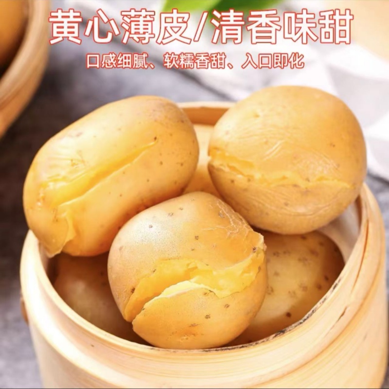 【土豆】湘西赶集代购农家土豆