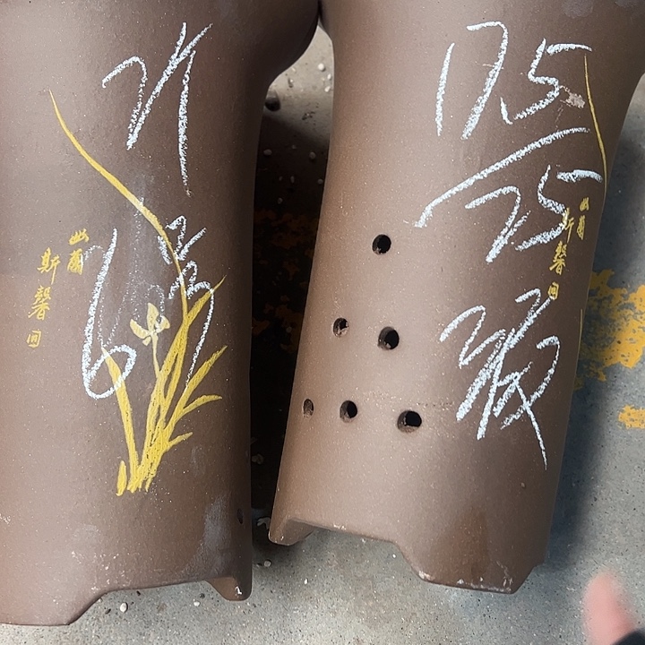 6号…………………………我也不