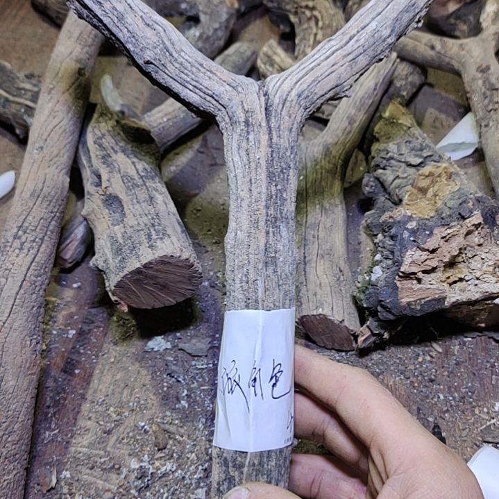 反****火琉璃原杈不保沉水慎拍！