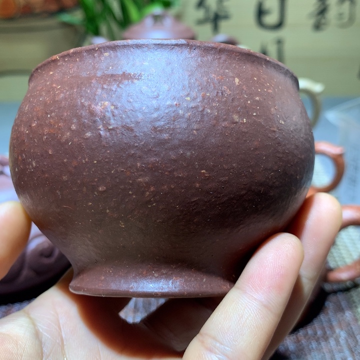 茶壶紫砂今天早上