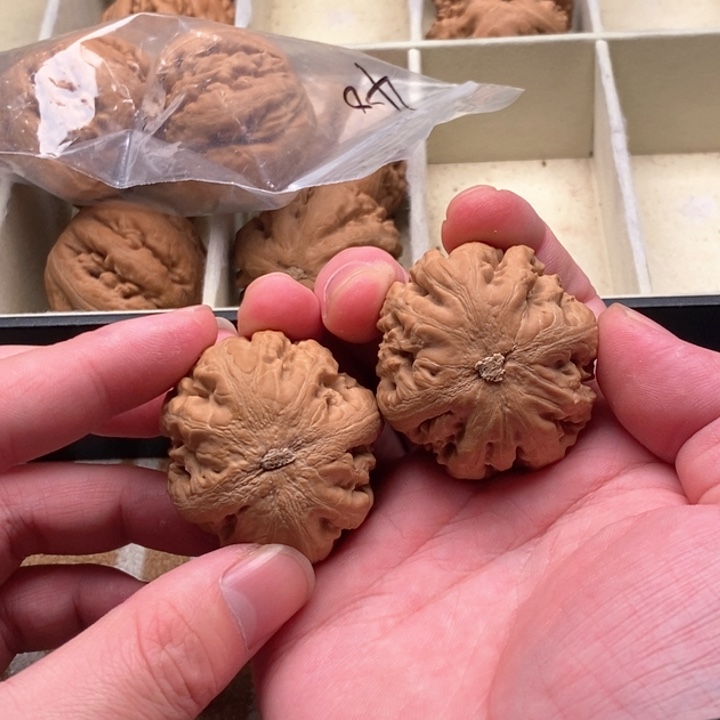 把件文玩核桃一**气