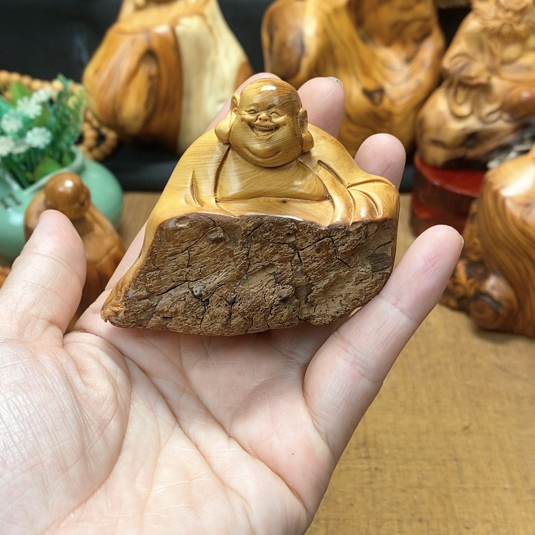 柏木（崖柏）一物一图