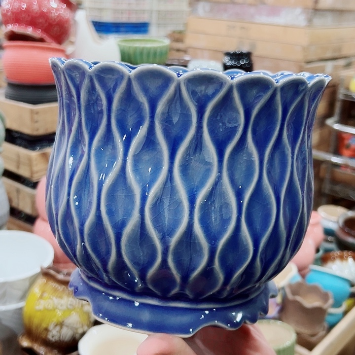 花盆有孔！订单凑满10米包由！