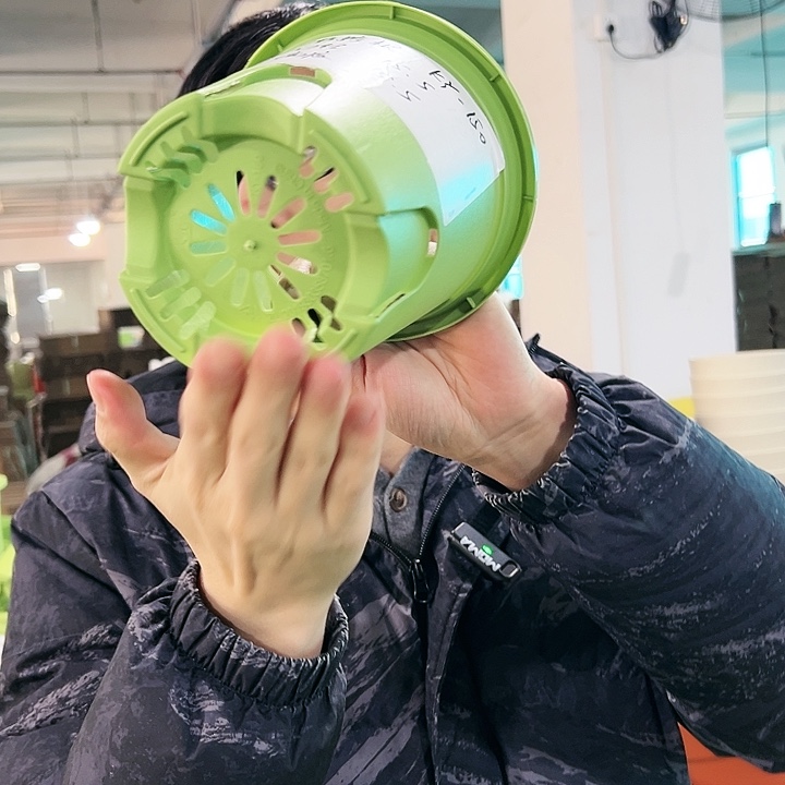 正品圆控口15高15果绿无托10只