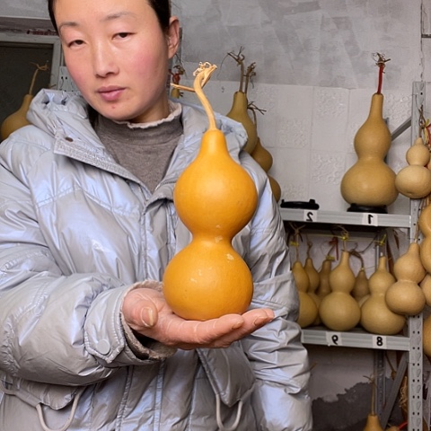 *️****天然植物葫芦文玩