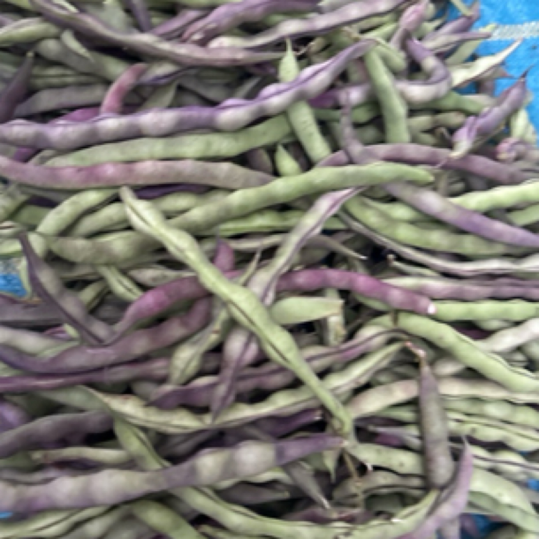 （老龚）四季豆紫豆 大集现收 农家蔬菜