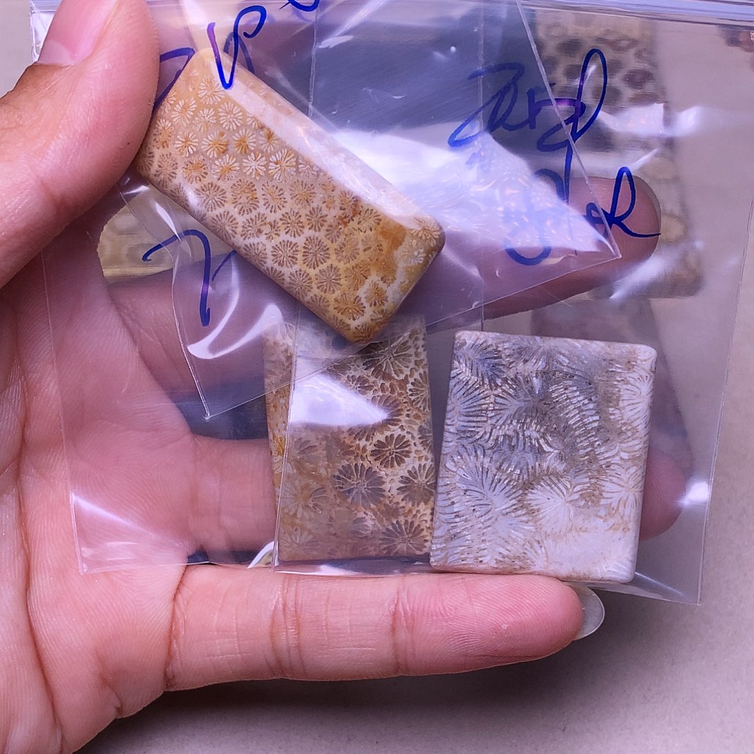 种***子硅化玉合金珊瑚玉