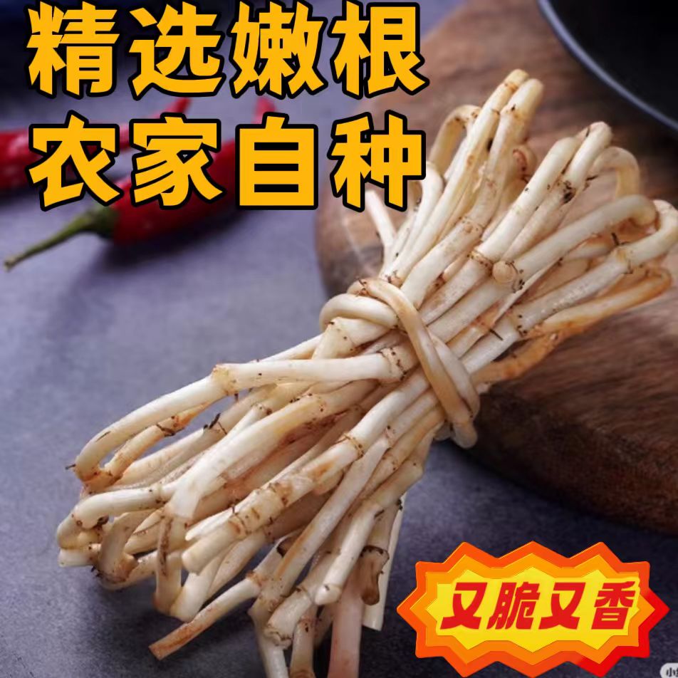 现挖新鲜鱼腥草嫩根农家折耳根湖北节节根凉拌菜蔬菜