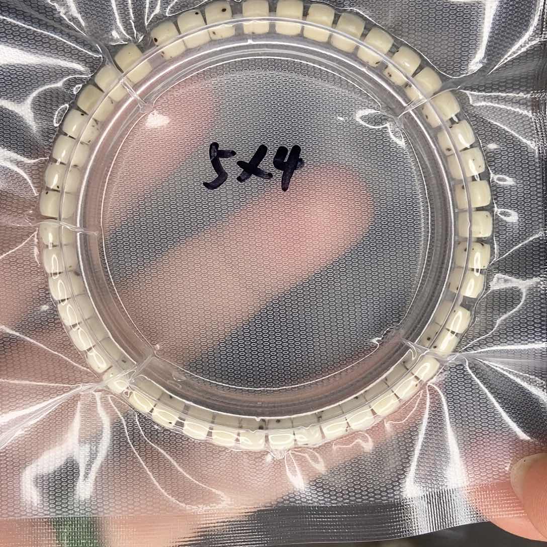 星月菩提手串星月