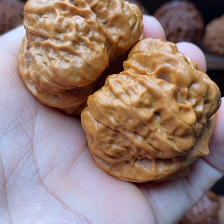 ～***单龙脊菩提吊坠蛙蛙蛙42尺