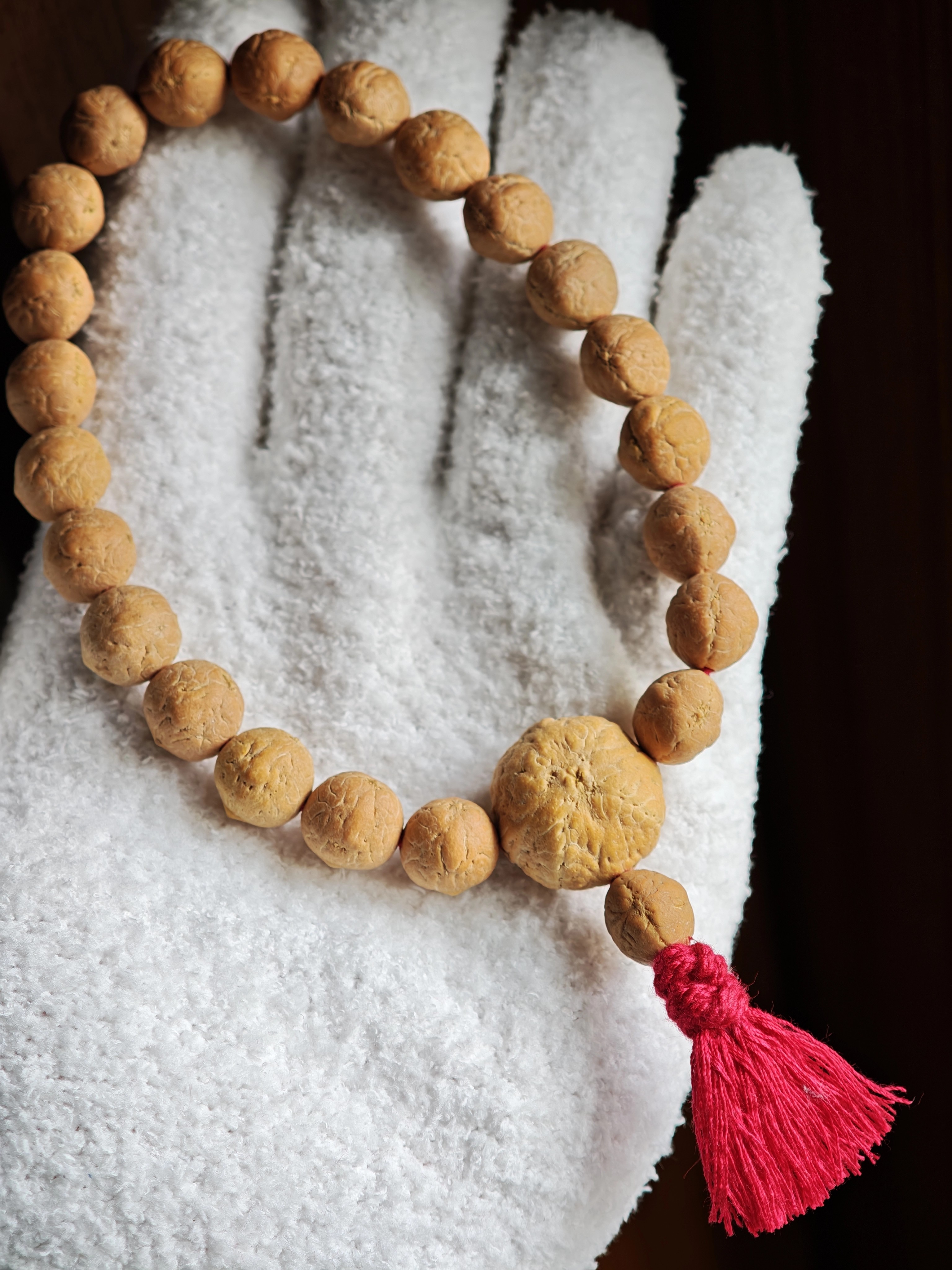 【伽蓝出品】二茬凤眼天使高油高密高规整 尺寸11.3