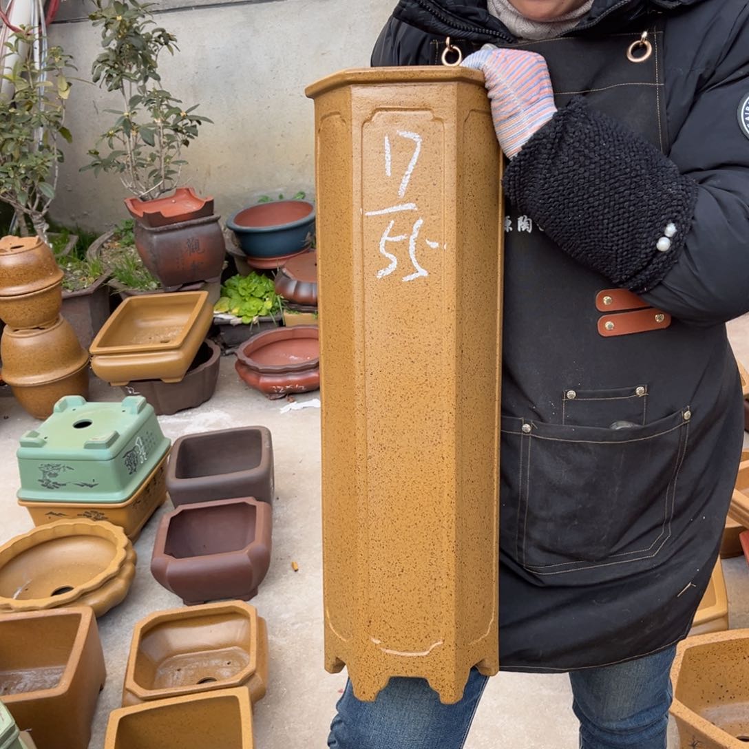 紫砂花盆盆景艺术